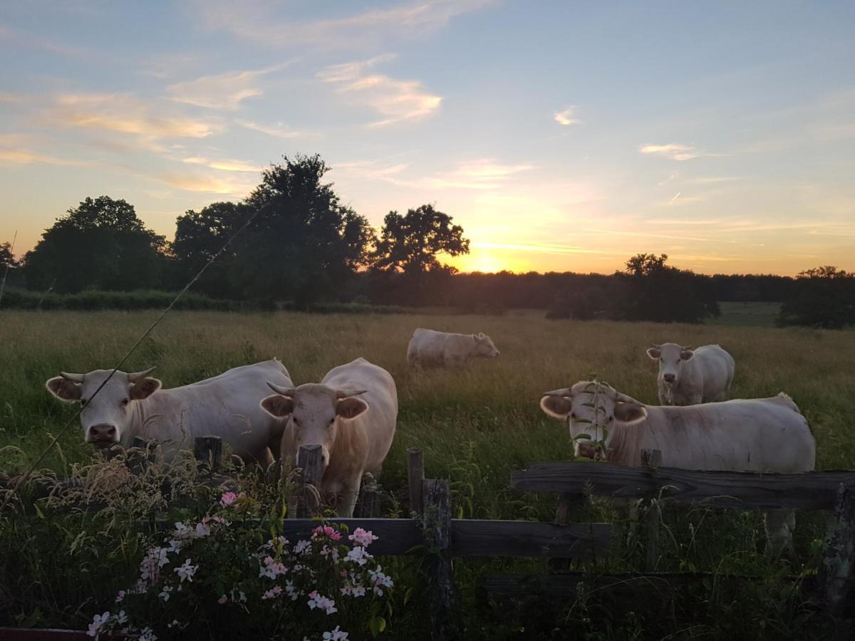La Lisière du Morvan Magny-Lormes Esterno foto
