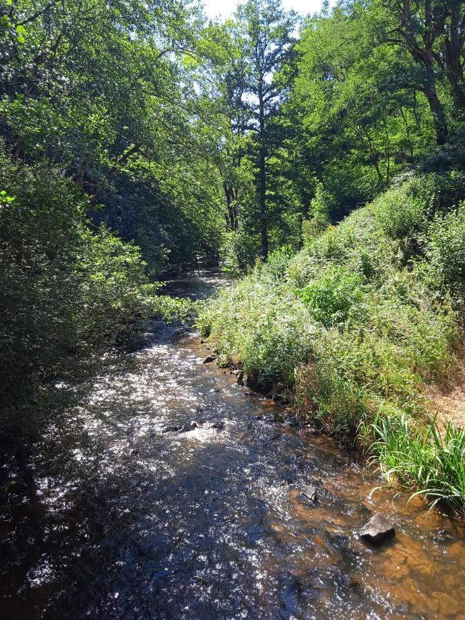 La Lisière du Morvan Magny-Lormes Esterno foto