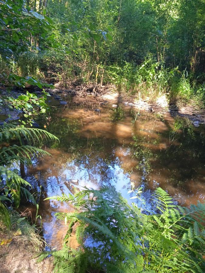 La Lisière du Morvan Magny-Lormes Esterno foto